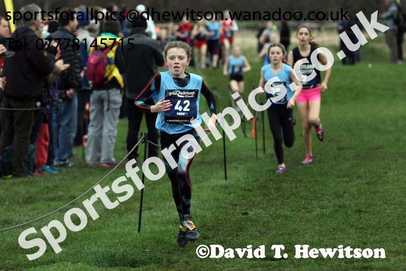 Girls under-13 Inter-District, 2017 Great Edinburgh Cross Country. Photo: David T. Hewitson/Sports for All PIcs